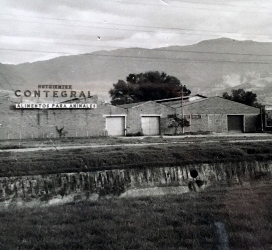 1951 Contegral